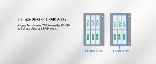 TERRAMASTER D6-320 外付けハードドライブエンクロージャ - USB 3.2 Gen2 10Gbps Type-C HDDストレージ ホットスワップ対応 プラグアンドプレイ (ディスクレス)