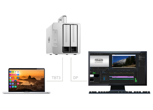 TERRAMASTER TD2 Thunderbolt 3 プロフェッショナルグレード 2ベイ外付けハードドライブエンクロージャ RAID 0/RAID1/JBOD ハードディスク RAID ストレージ (ディスクレス)