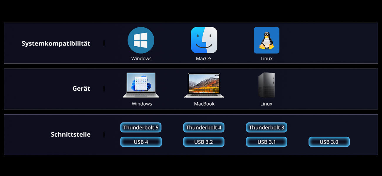 D1 SSD Pro