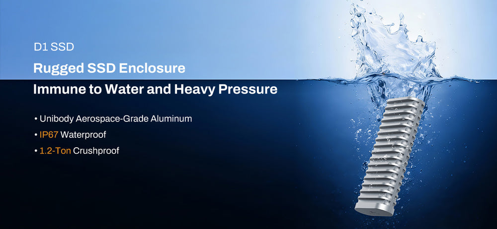 D1 SSD