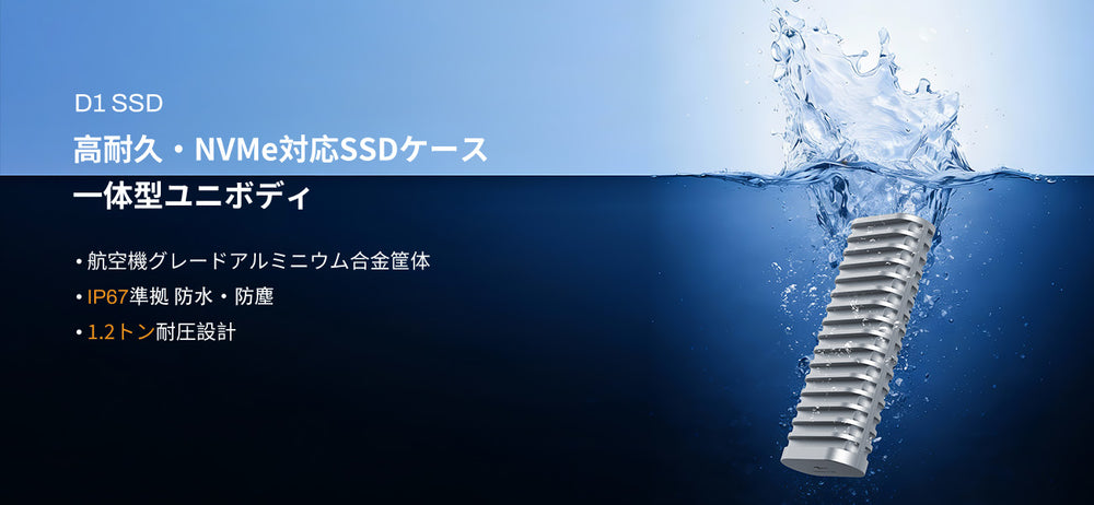 D1 SSD