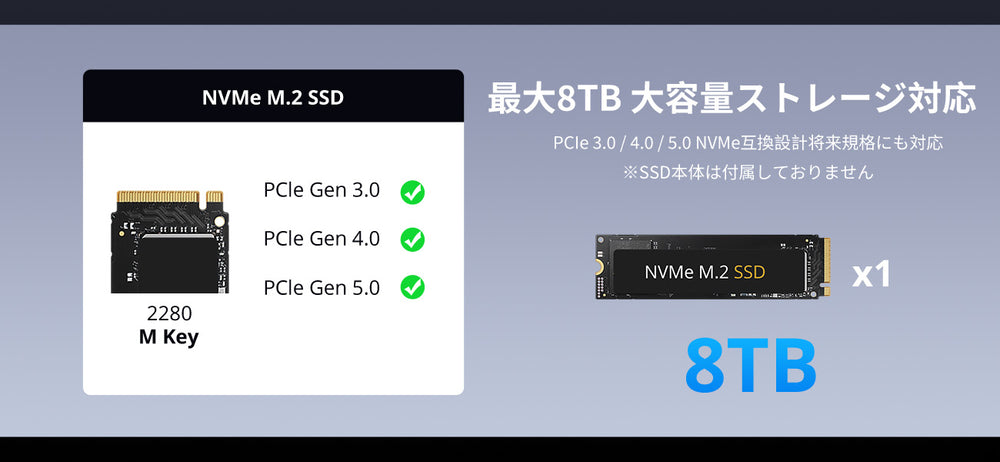 D1 SSD