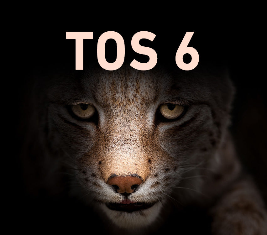 Interface Tos TOS 6 – TerraMaster Official Store